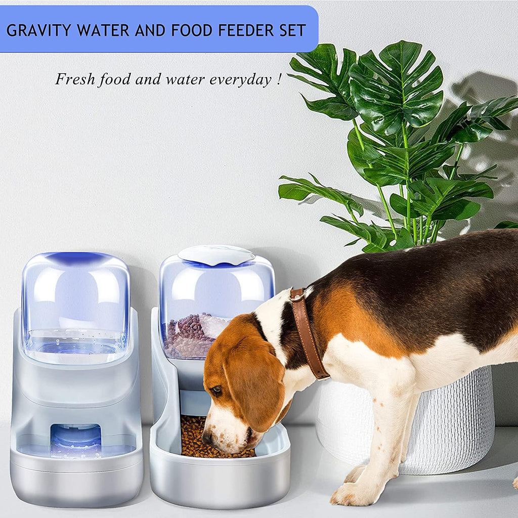 Automatic Cat Feeder and Water Dispenser